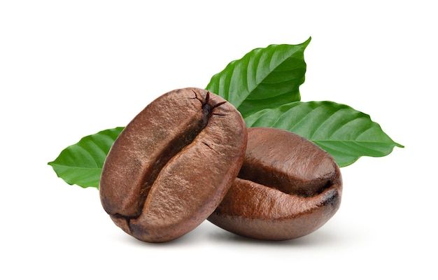 GO Coffee - Premium Ethiopian Arabica